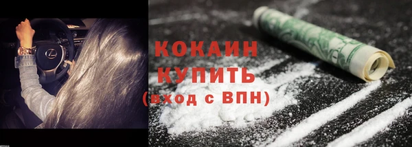 ПСИЛОЦИБИНОВЫЕ ГРИБЫ Бородино