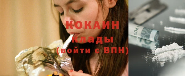 винт Верея