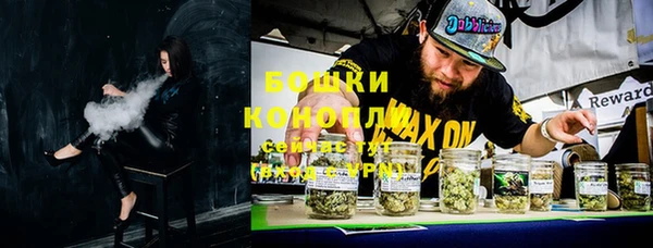 шишки Верхний Тагил