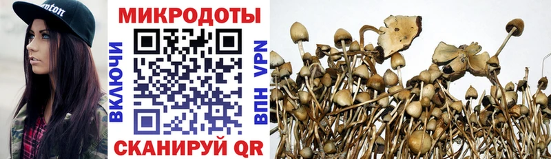 hydra как зайти  Армавир  Галлюциногенные грибы Psilocybe 
